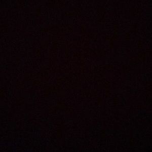 Meet your Posher, Ilana